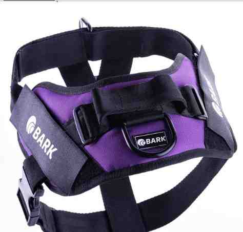 BARK ANTITIRON  M VIOLETA 